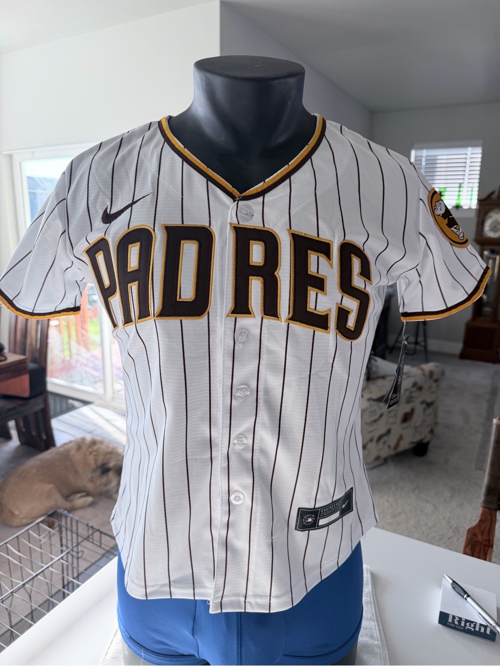 Source Unknown Padres White Pinstripe Baseball Jersey with Brown and Gold Trim
